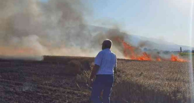 Bursa'da buğday tarlası yangında küle döndü