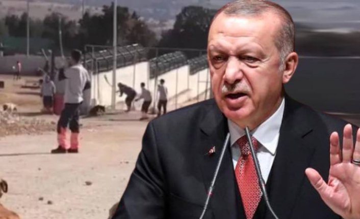 Erdoğan'dan Konya Hayvan Barınağı'ndaki vahşete ilişkin açıklama