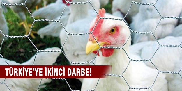 Türkiye’den tavuk ithalatını durdurdu