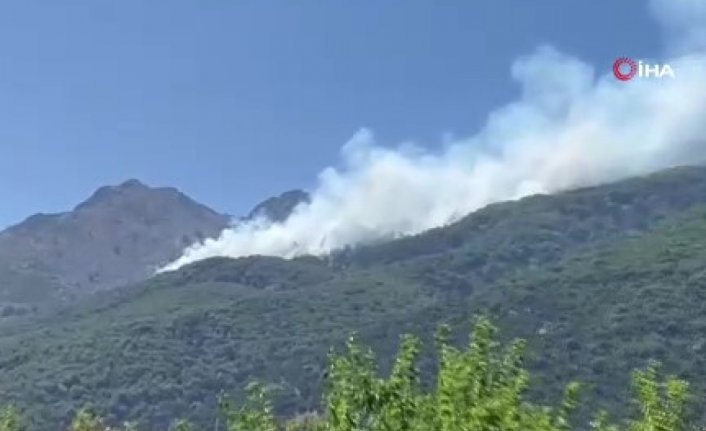 Yunanistan'ın Semadirek Adası'nda orman yangını!